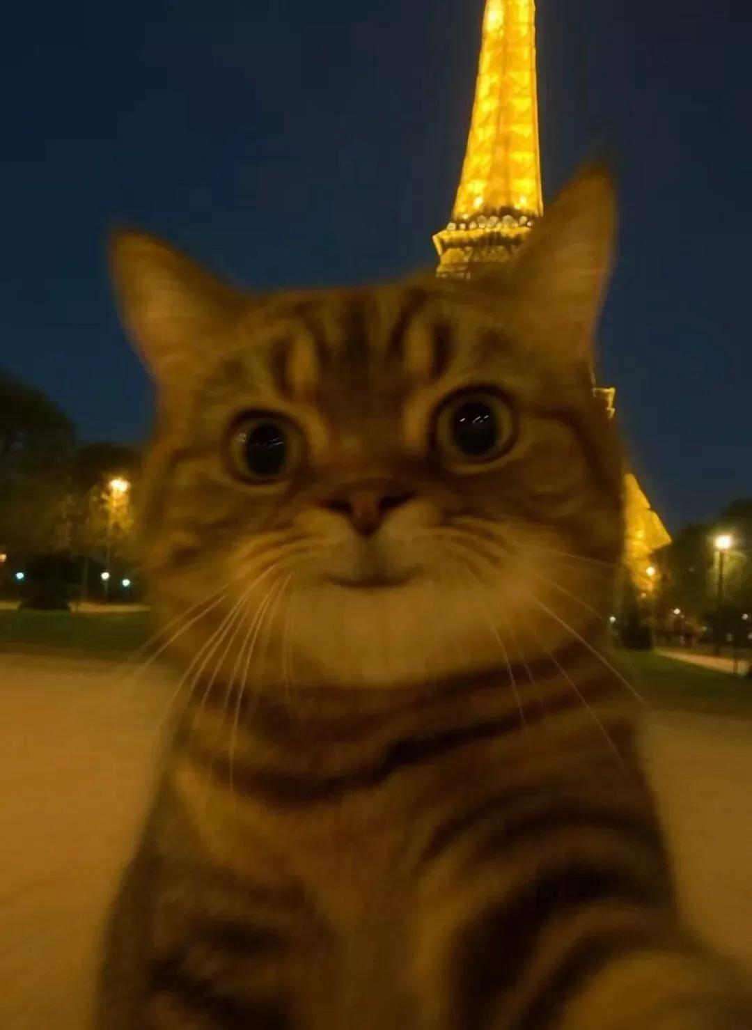 ˵ʵ籬èͷ˶繣